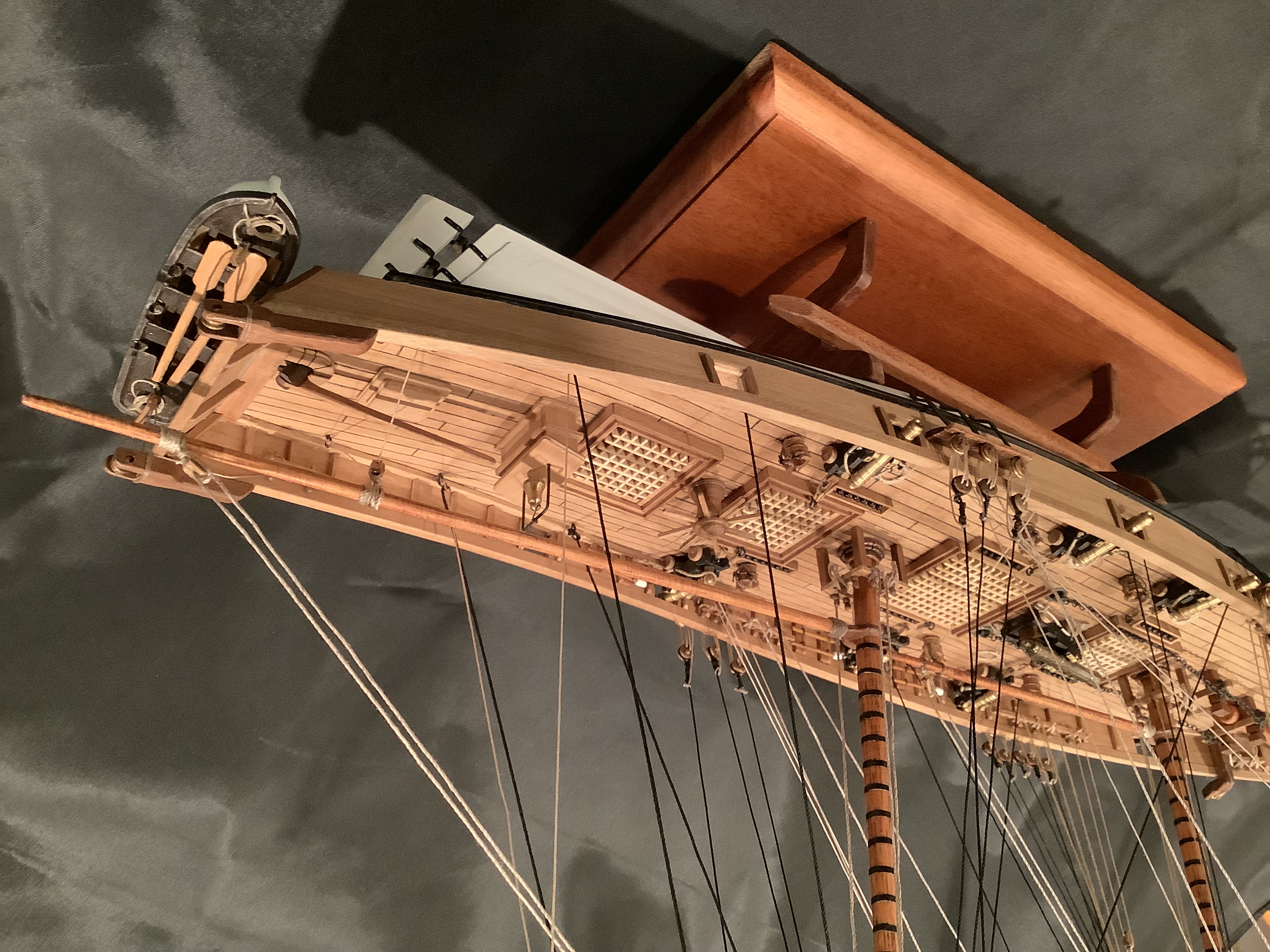 Albatros 8.jpg